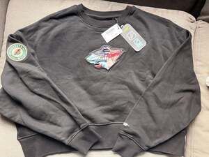 Pro Standard Minnesota Wild City Centric Crewneck Sweatshirt